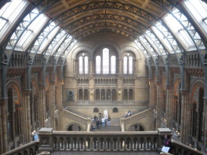 The main hall at the Natural History Museum